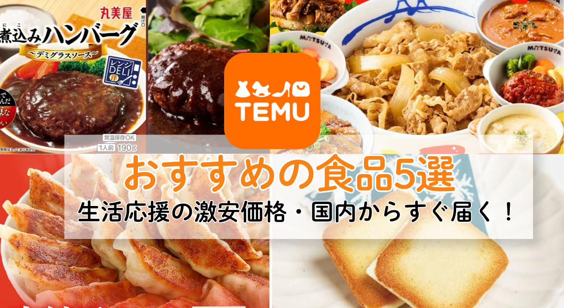 temu食品おすすめ5選