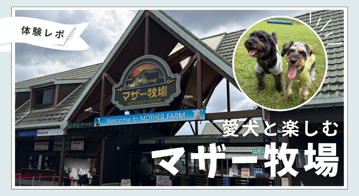 自分用サムネイルFMT (1145 x 625 px)